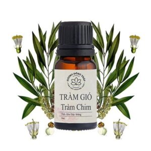 Tinh dầu tràm gió